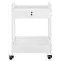 Lab Cart, 2 Tiers Stainless Steel Utility Cart, Medical Cart with 2 Drawers, Rolling Lab Cart White Paint, Serving Cart with Swivel Casters for Laboratory, Hospital, Dental, Salon and Beauty